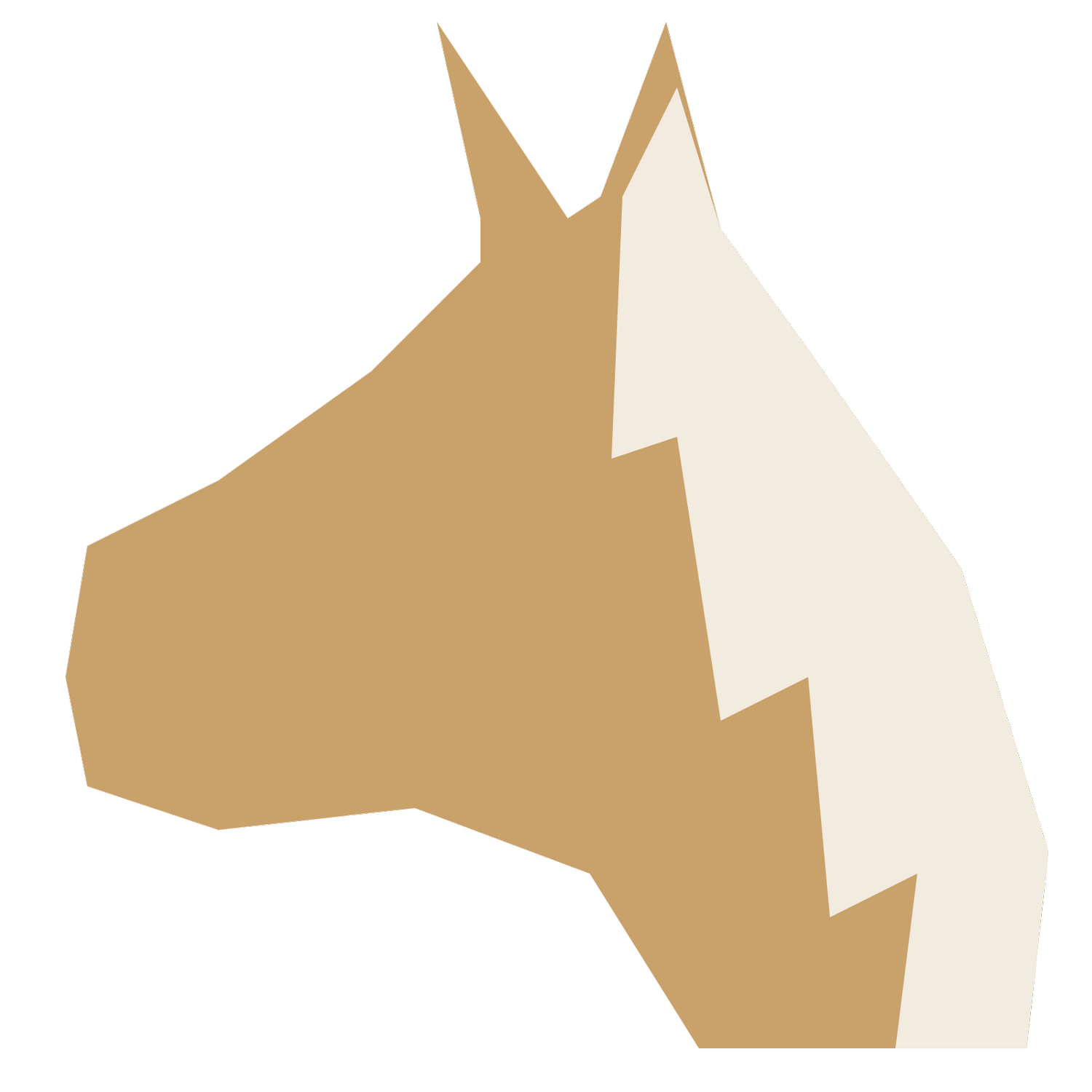 Palomino