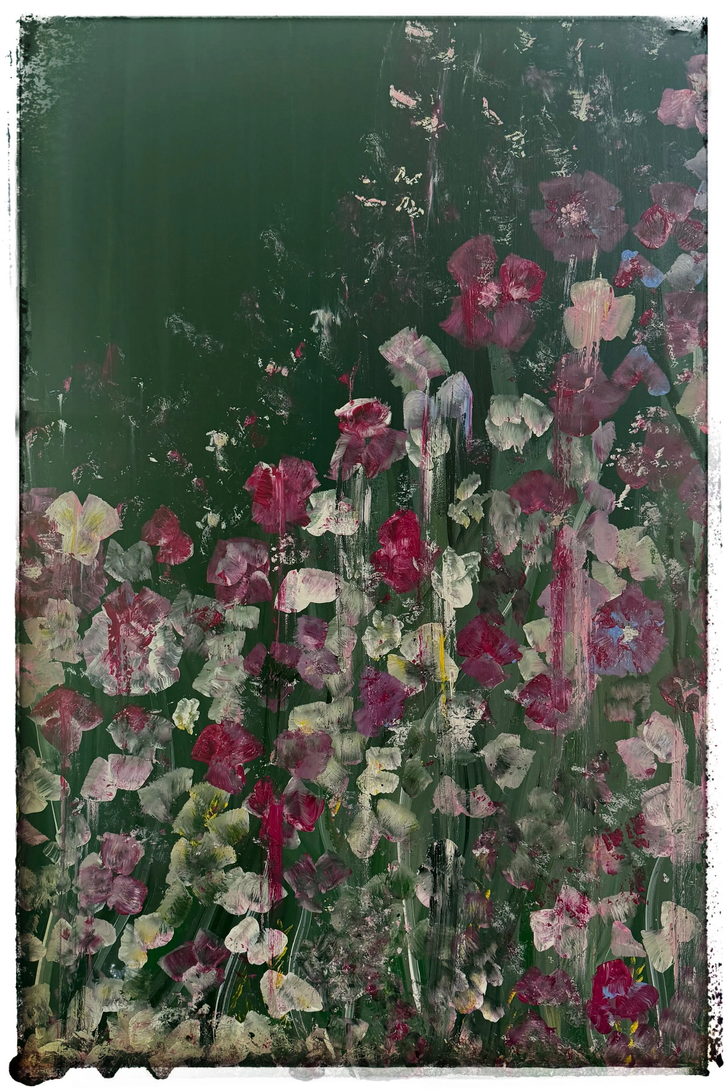 Firework · 24 x 36 · Acrylic on Canvas