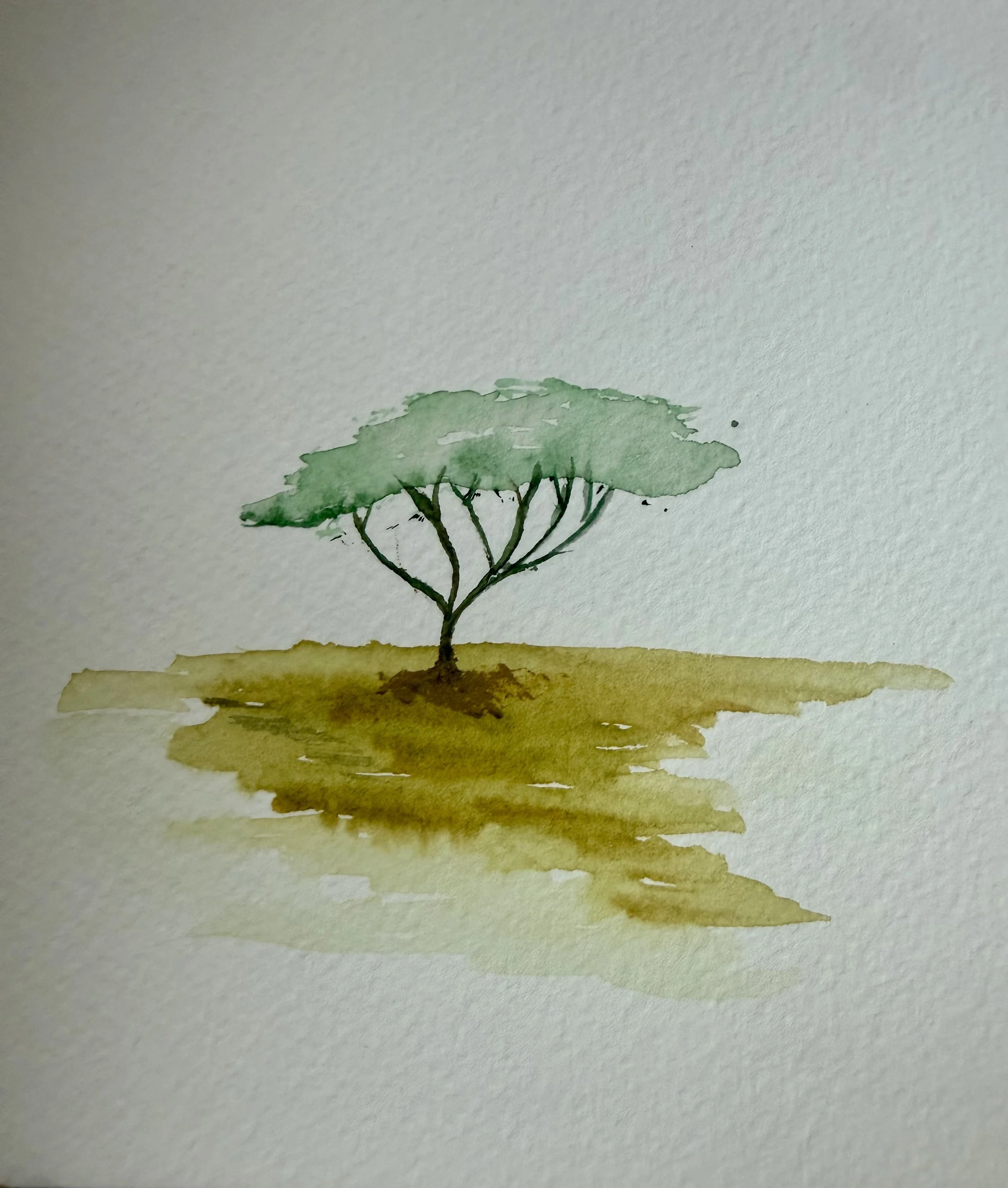 Serengetti · 4 x 4 · Watercolor on Paper