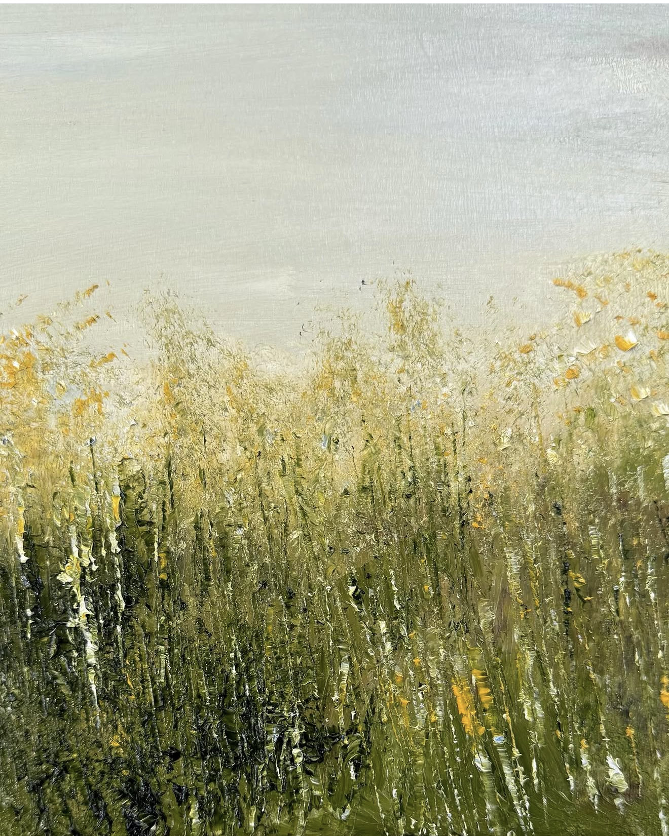 Fields of Gold · 8 x 8 · Oil on Wood