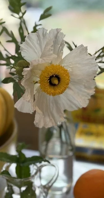 Close-up of a white flower with a yellow and black center in a glass vase, with blurred background.