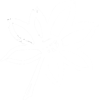 A white silhouette of a flower with multiple petals on a black background.