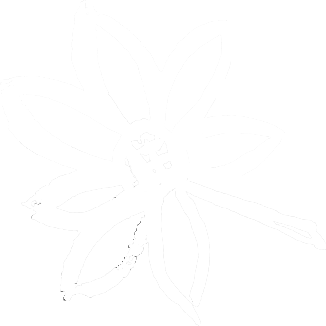 A stylized white flower with a face at the center, and a long stem with a leaf, against a black background.
