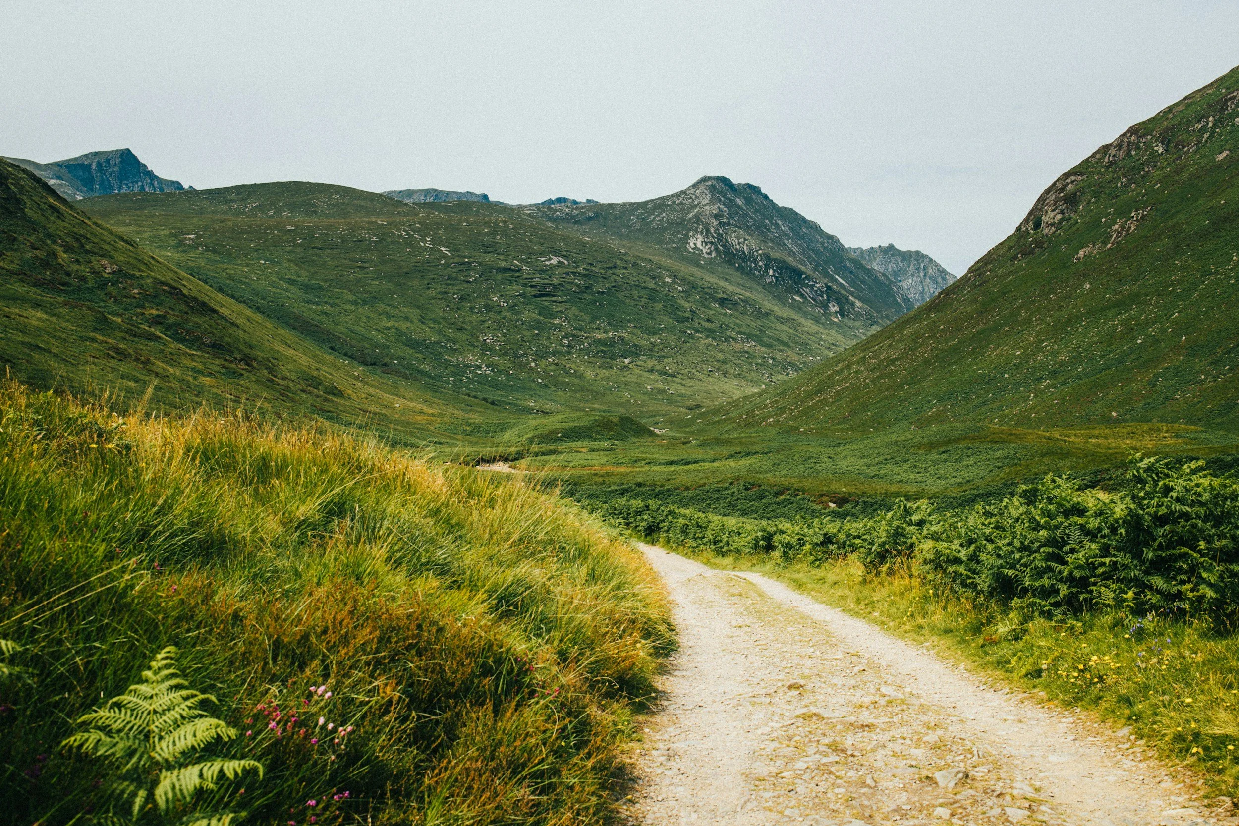 unsplash-image-hc1A_MncXQo.jpg