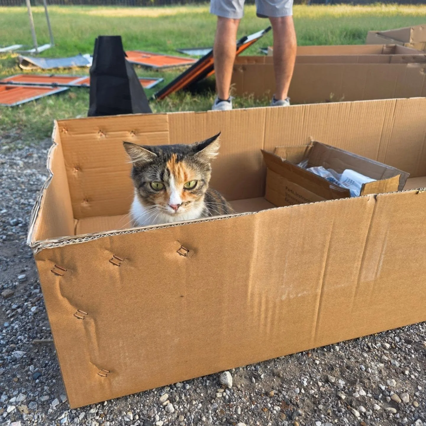 Big helper this morning. Everything passed inspection and we are allowed to build