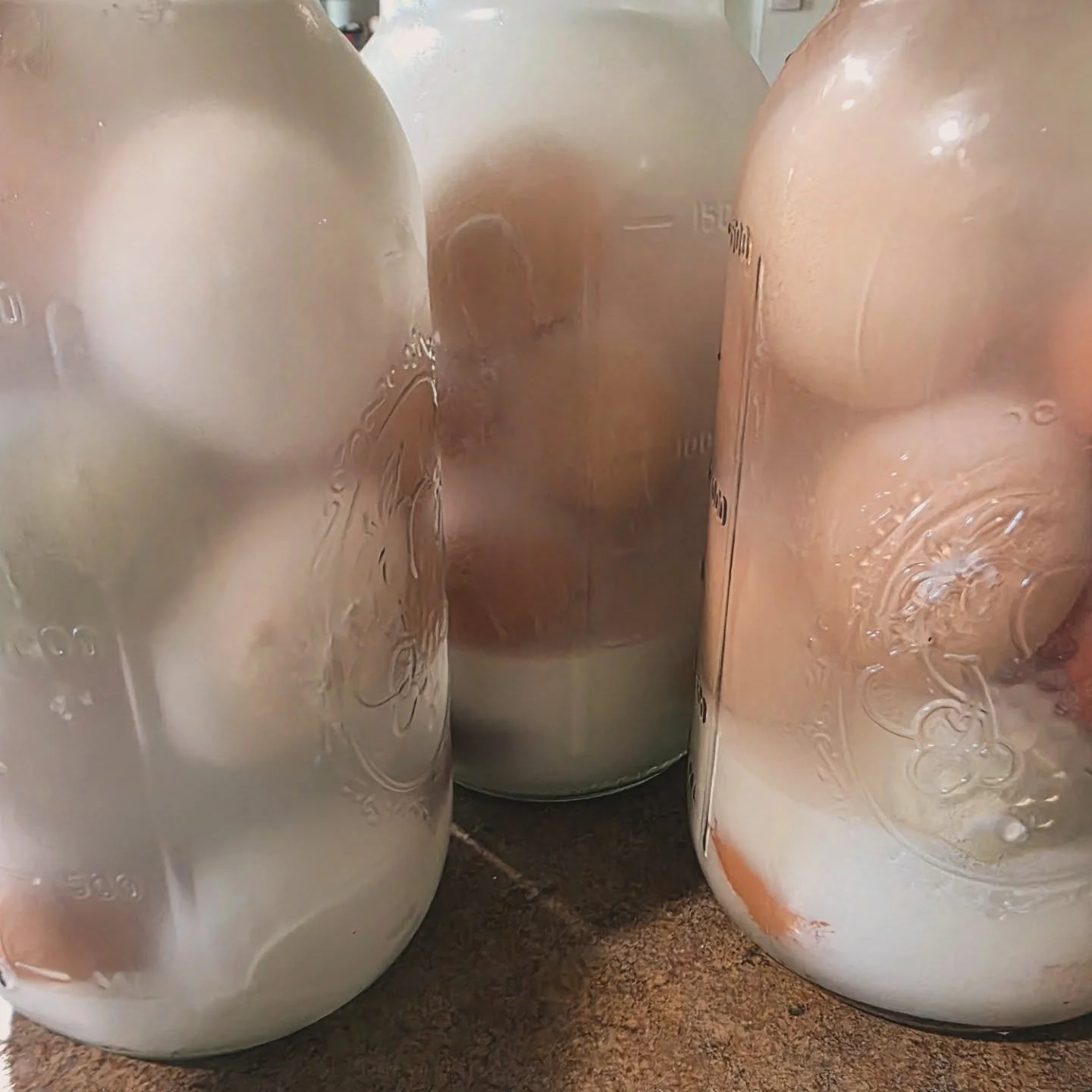 The ladies are producing so we are trying our hand at glassing eggs. This process can preserve fresh, unwashed eggs for up to 18 months! We will test this at 6 months and 12 months to see how this recipe holds up. 

1/2 gallon jar
1 oz pickling lime
