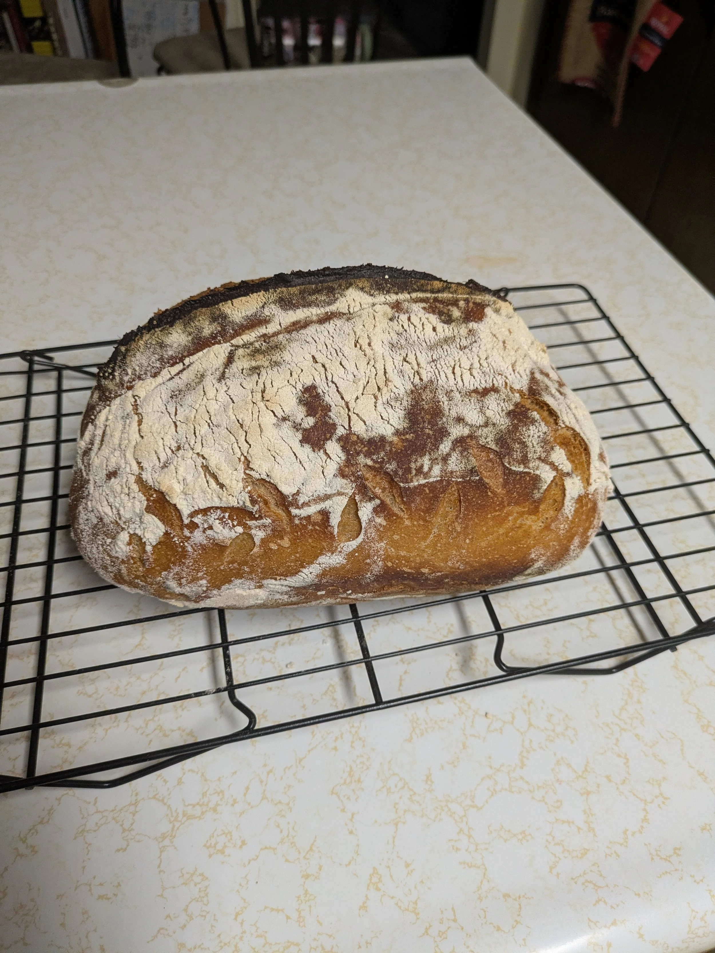 Sourdough Loaf