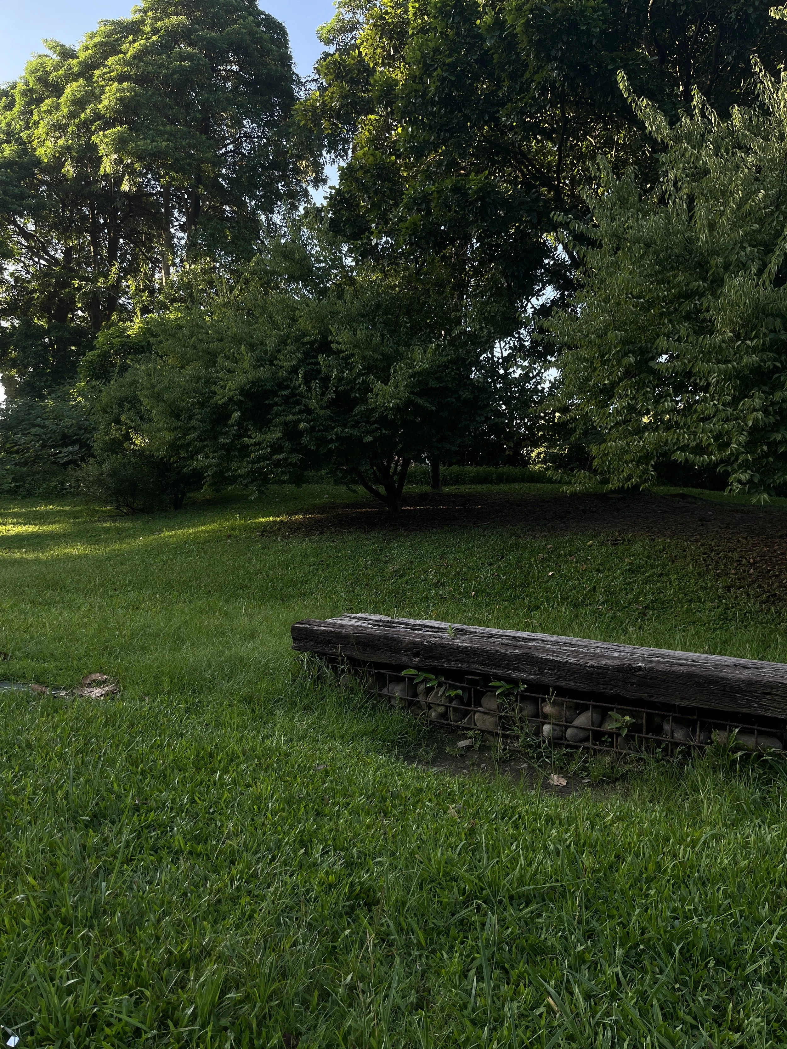 A quiet green park with a wooden bench under the trees