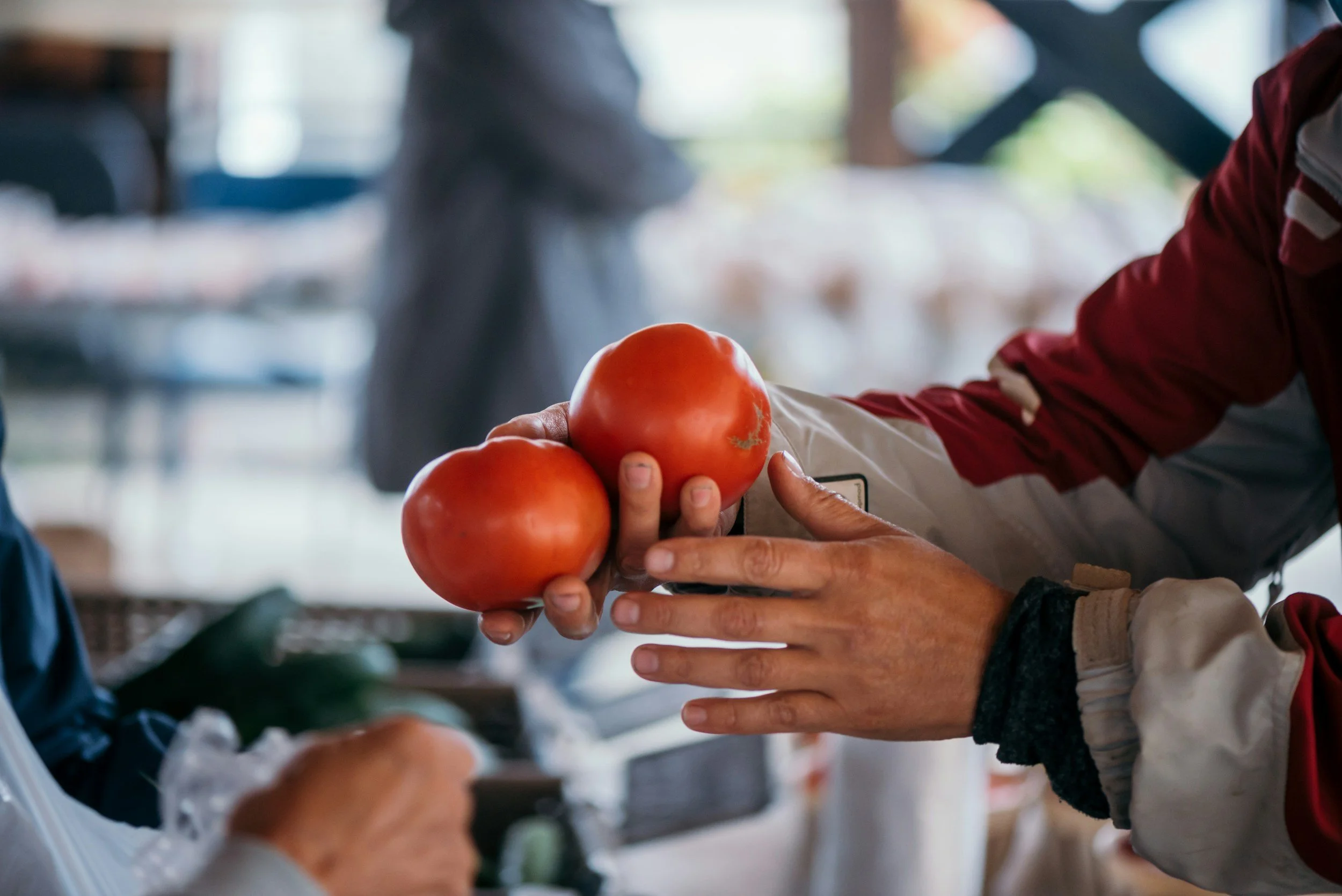 People exchanging tomatoes at a market stall, with a blurred background of market surroundings.