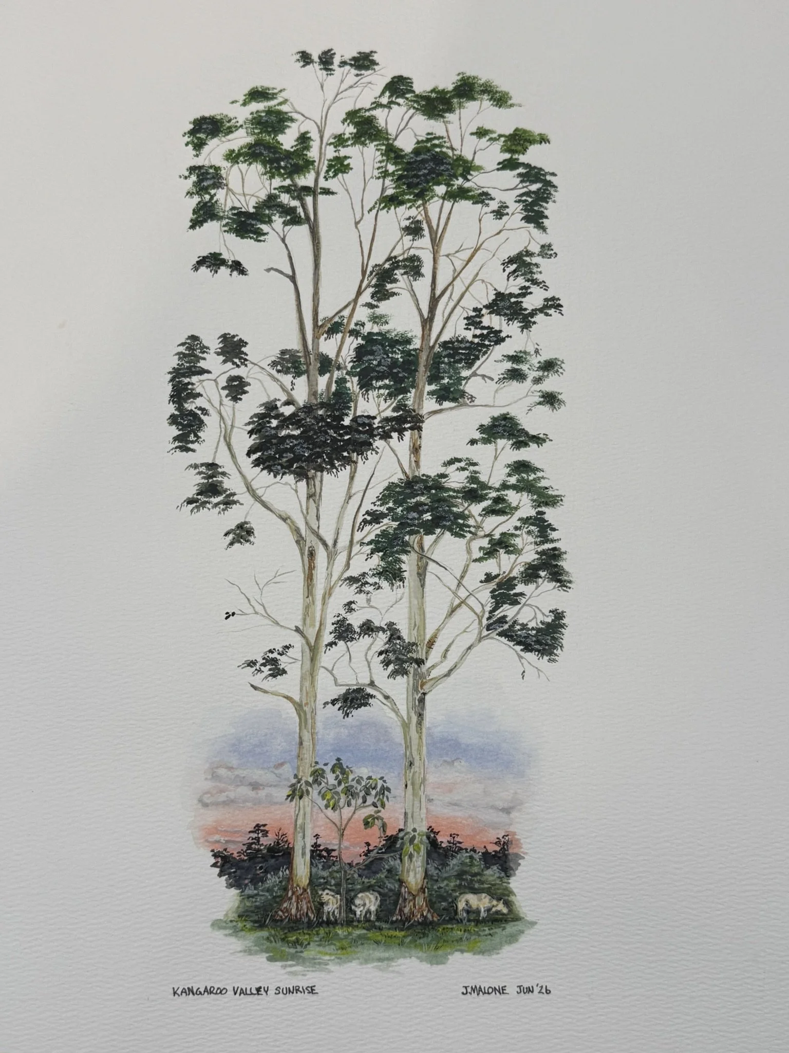 The Twins: A3 Print Watercolor Painting of Kangaroo Valley by Jeff Malone