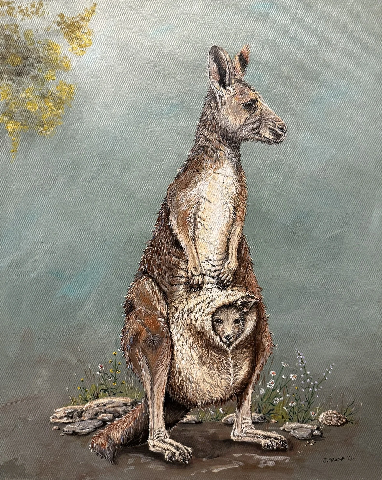Peek-a-Boo Signed 24x30cm Giclée Kangaroo Art Print by Jeff Malone