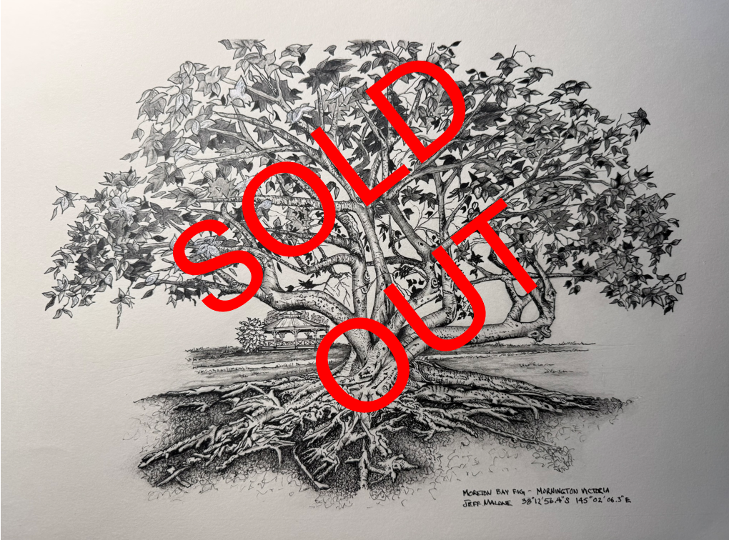 The Playground - A3 Original - Moreton Bay Fig Art Illustration