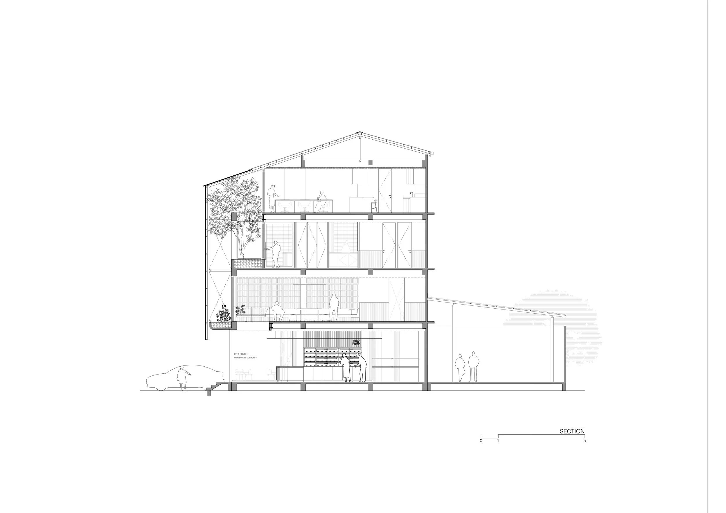 Section.jpg