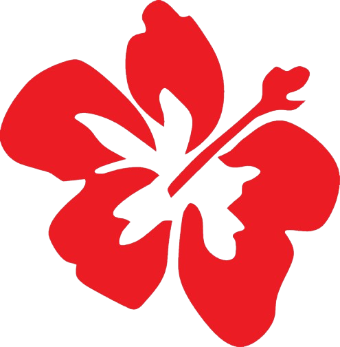Red hibiscus flower icon with a black background.