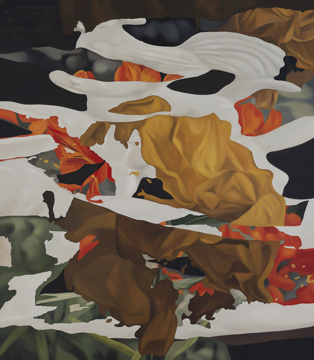 00355.png