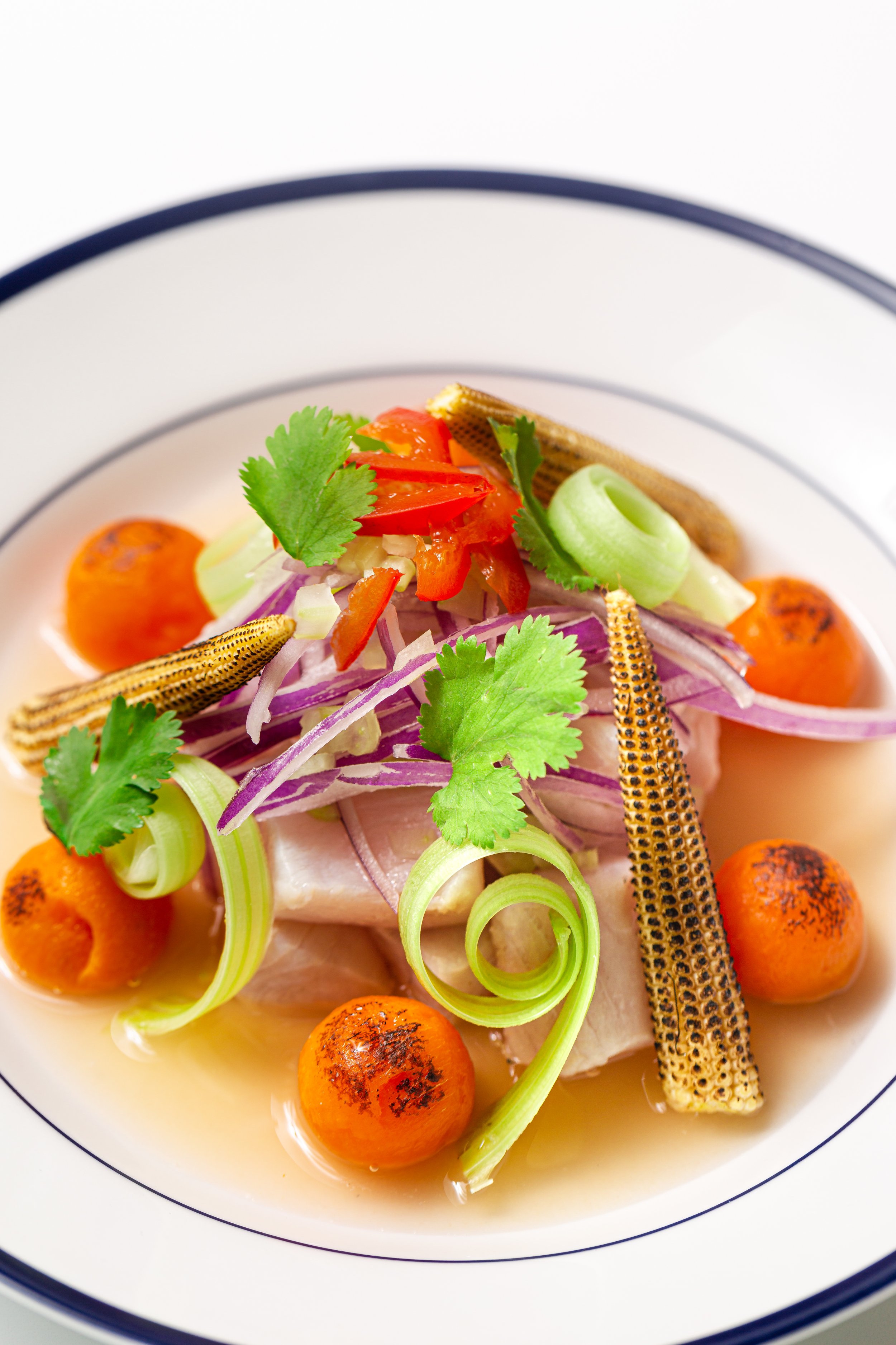 Ceviche de Mahi Mahi %22al Batán%22 2.jpg