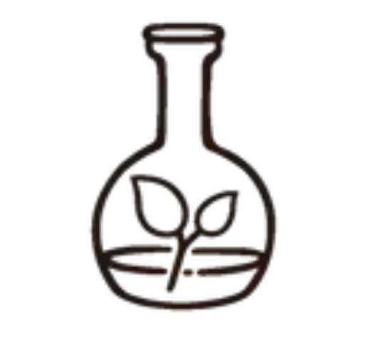Outline of a laboratory flask with a plant sprout inside.