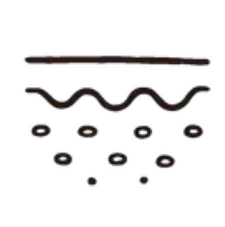 Diagram of skin layers and cells
