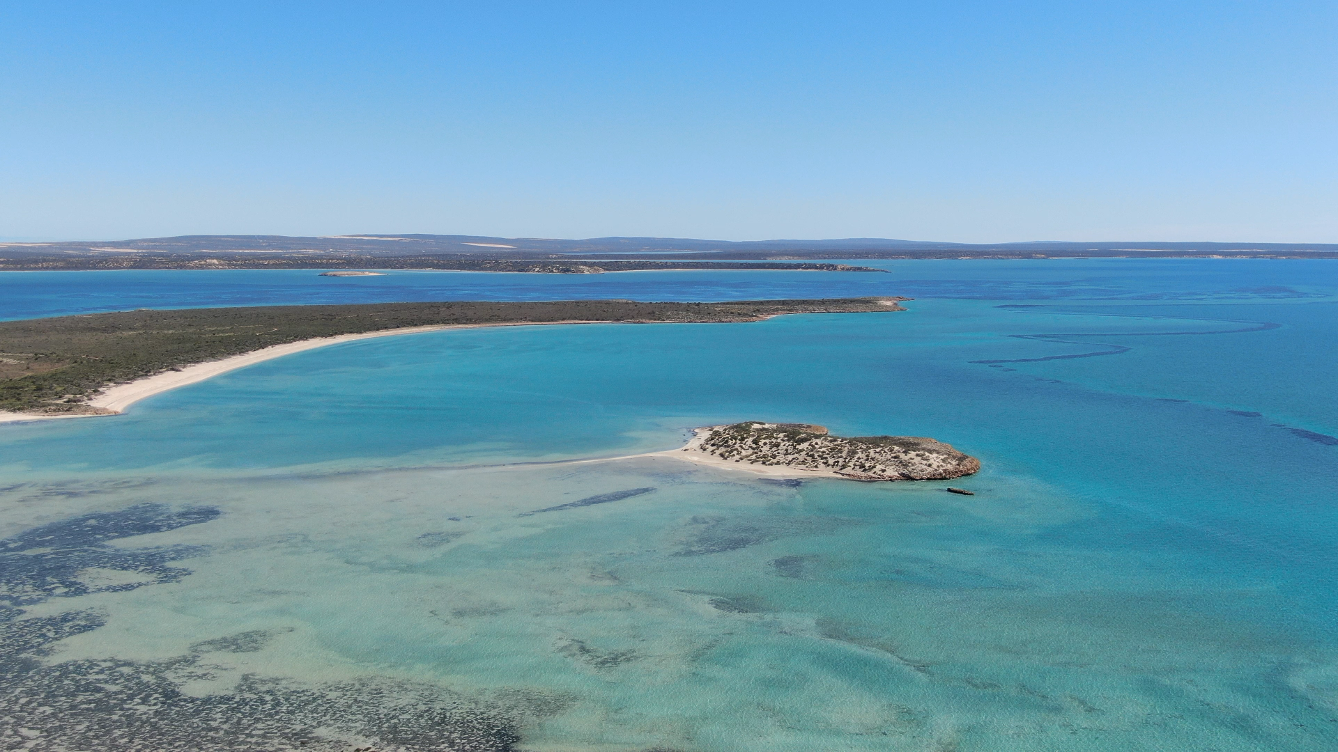Tamala_Drone_Image_1.png