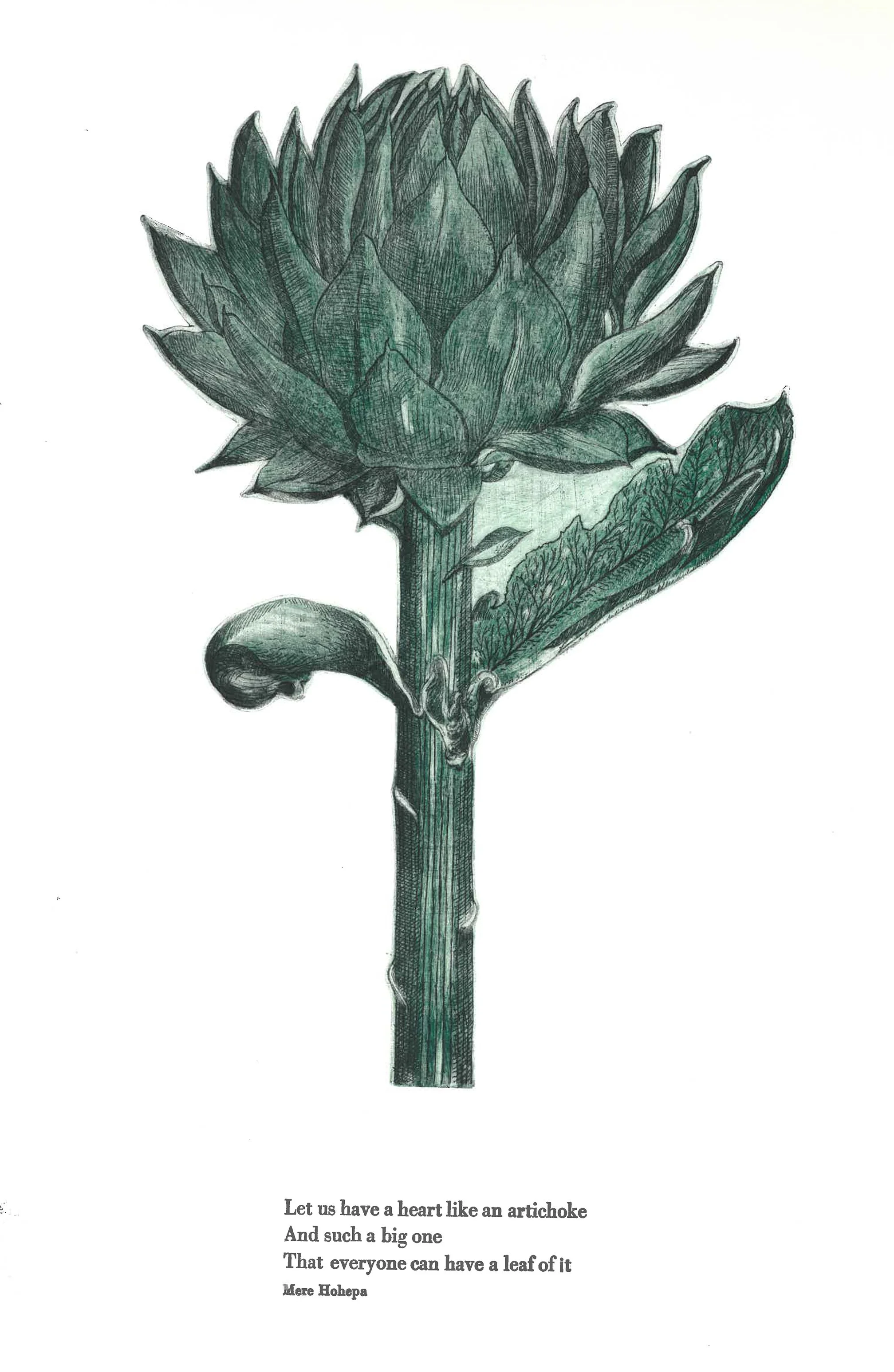 artichoke heart.jpg