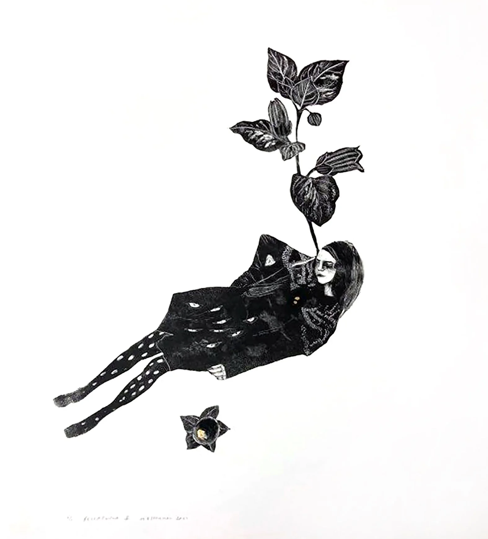 Belladonna II.jpg