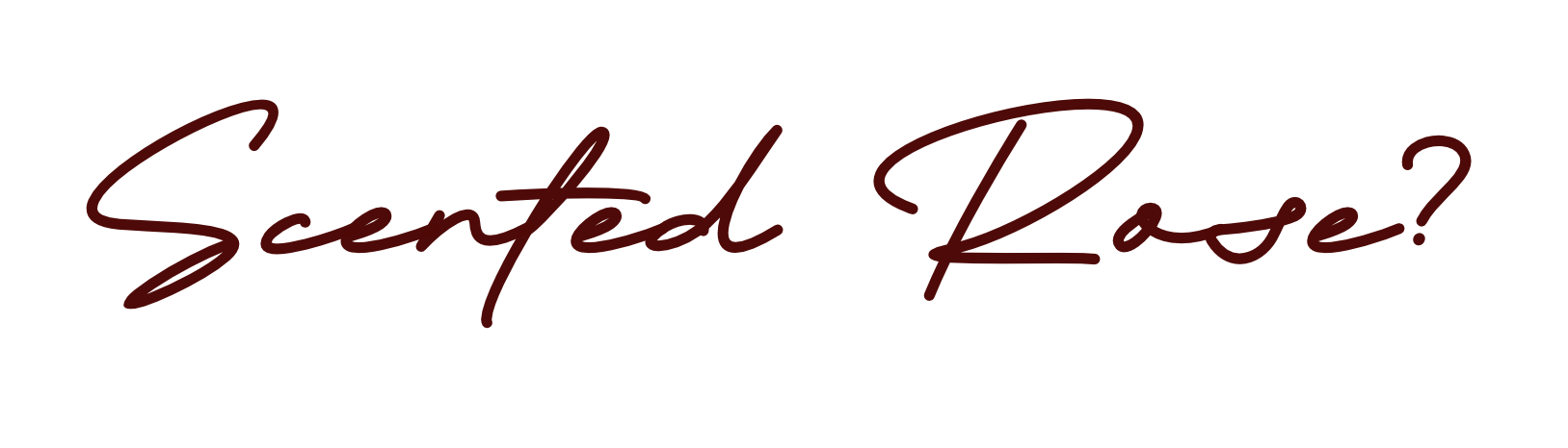 Text on image reads 'Scented Rose?'