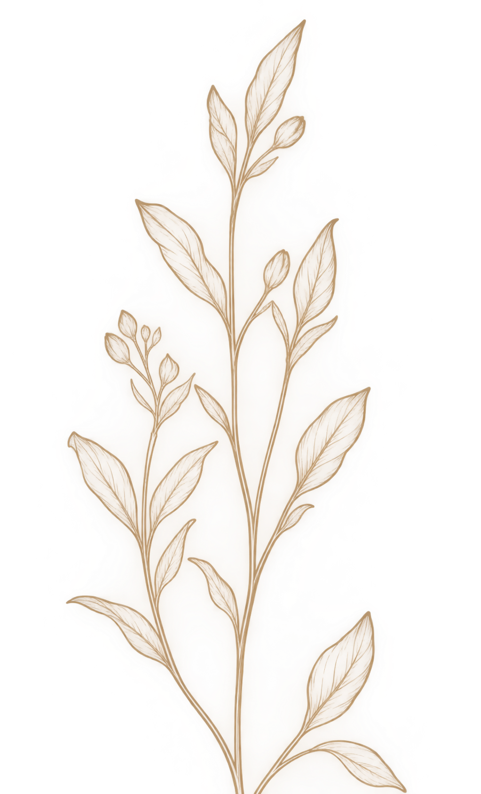 Stylized illustration of delicate beige botanical leaves and buds with a glowing outline.