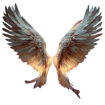 A pair of angel wings displayed against a black background.