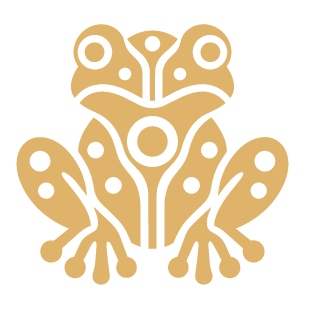 Stylized illustration of a frog with symmetrical patterns and circular spots