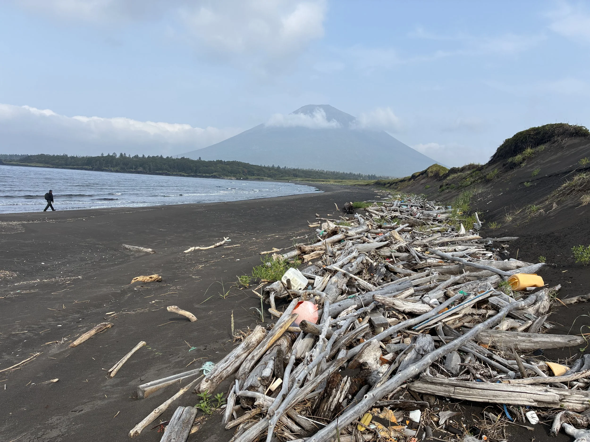 Black sand beach with driftwood and trash piles, ocean waves, forested land, and a mountain with clouds in the background.