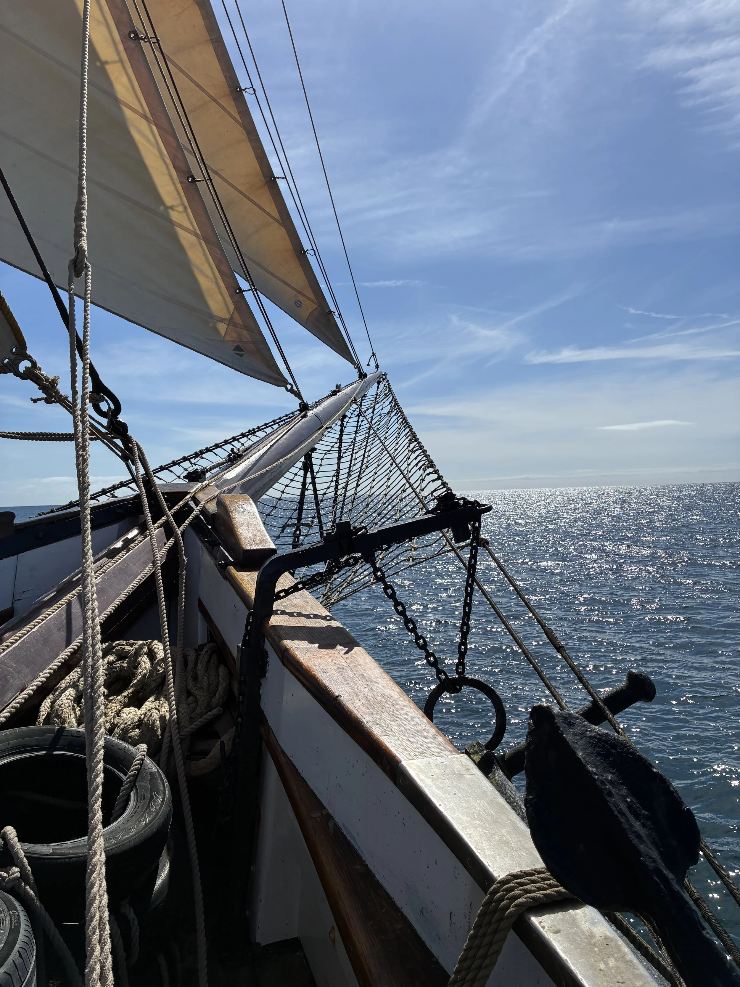 View from the deck of a sailboat showing ropes, a net, wooden trim, and the ocean with a blue sky and scattered clouds.