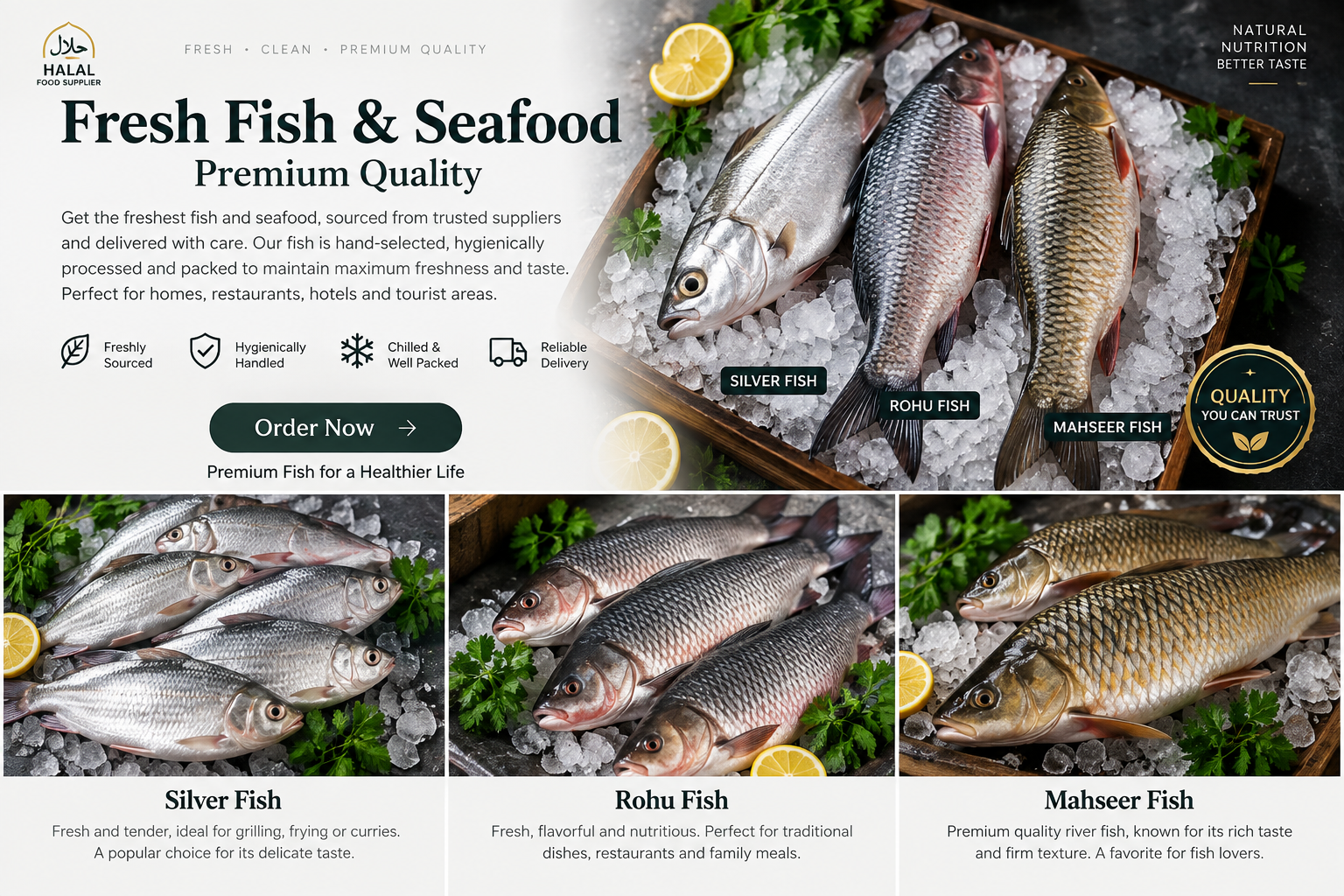 Fresh Premium Fish – Silver Fish, Rohu & Mahseer