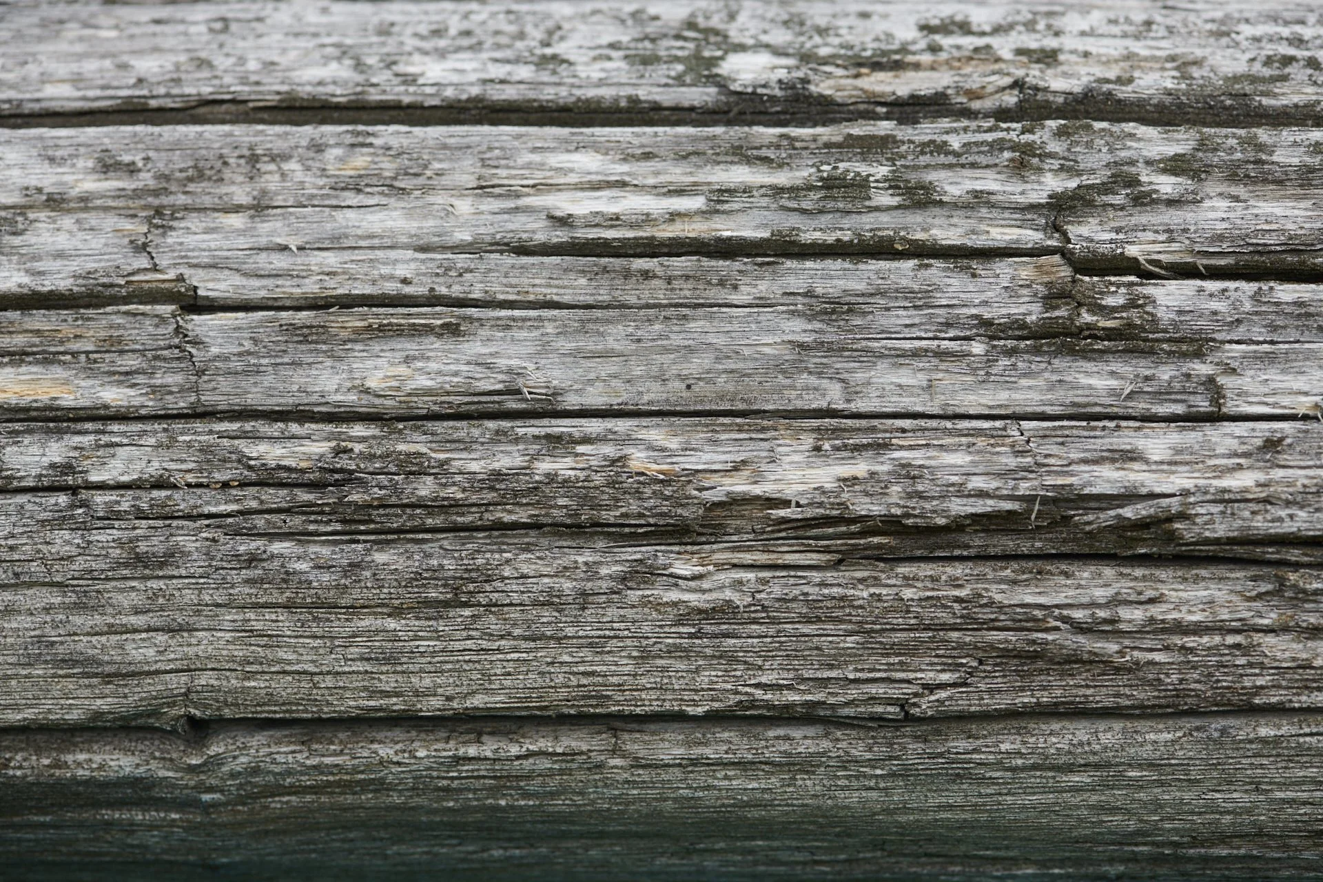 DSC_2606.jpg