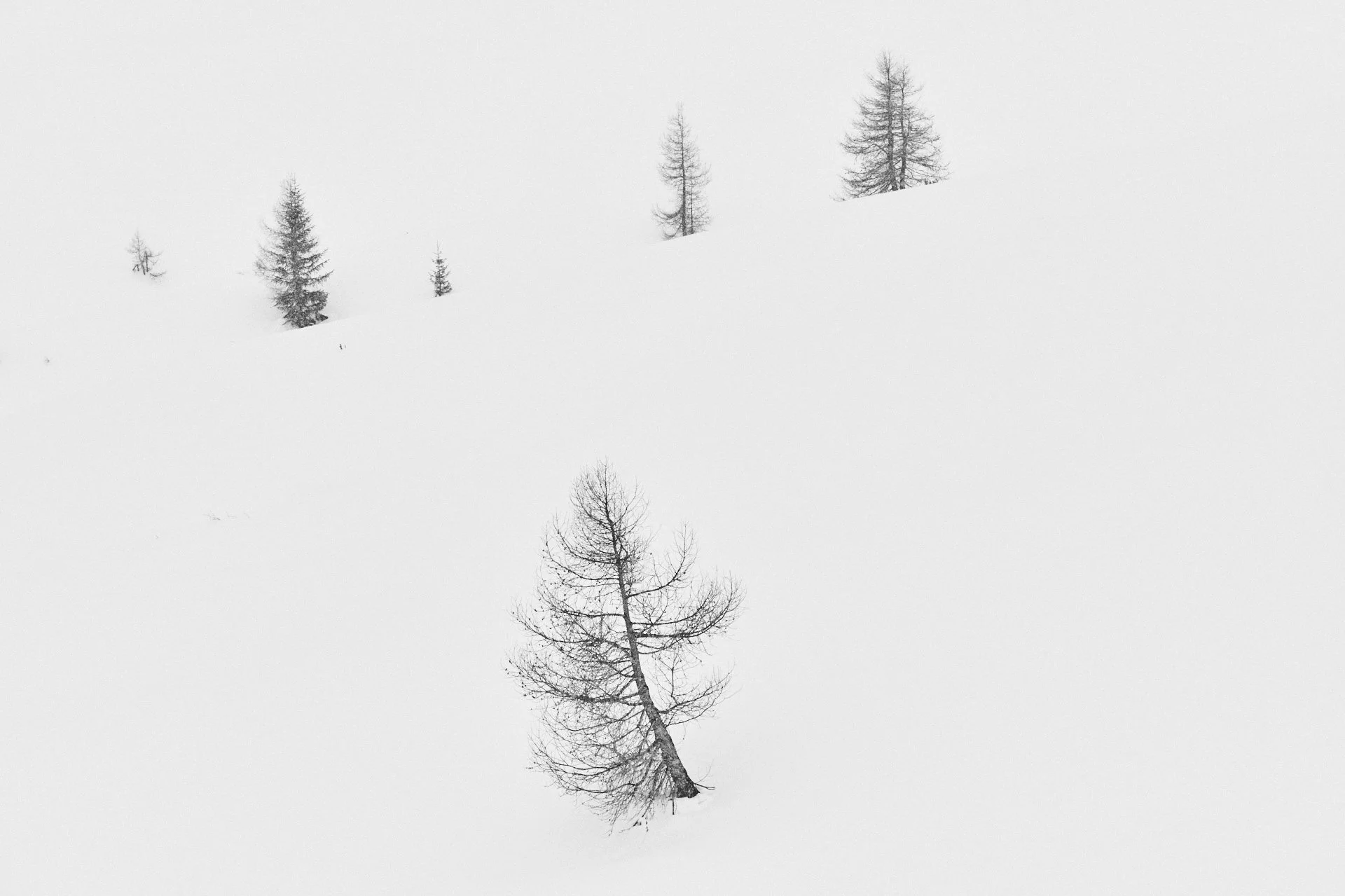 DSC_0382.jpg