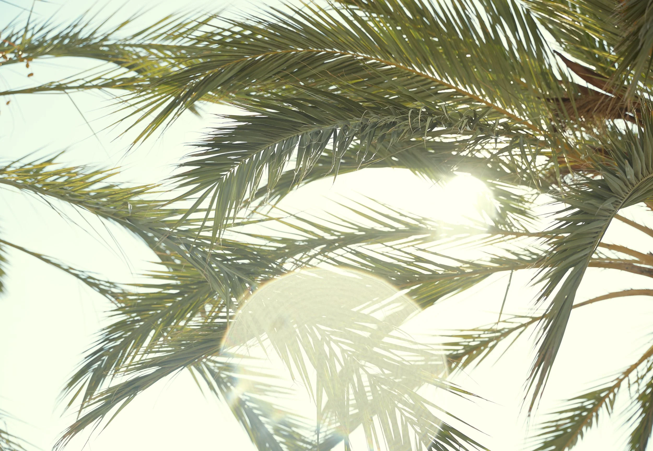 HSBC_PRIVATE_BANKING_MALLORCA_1951.jpg