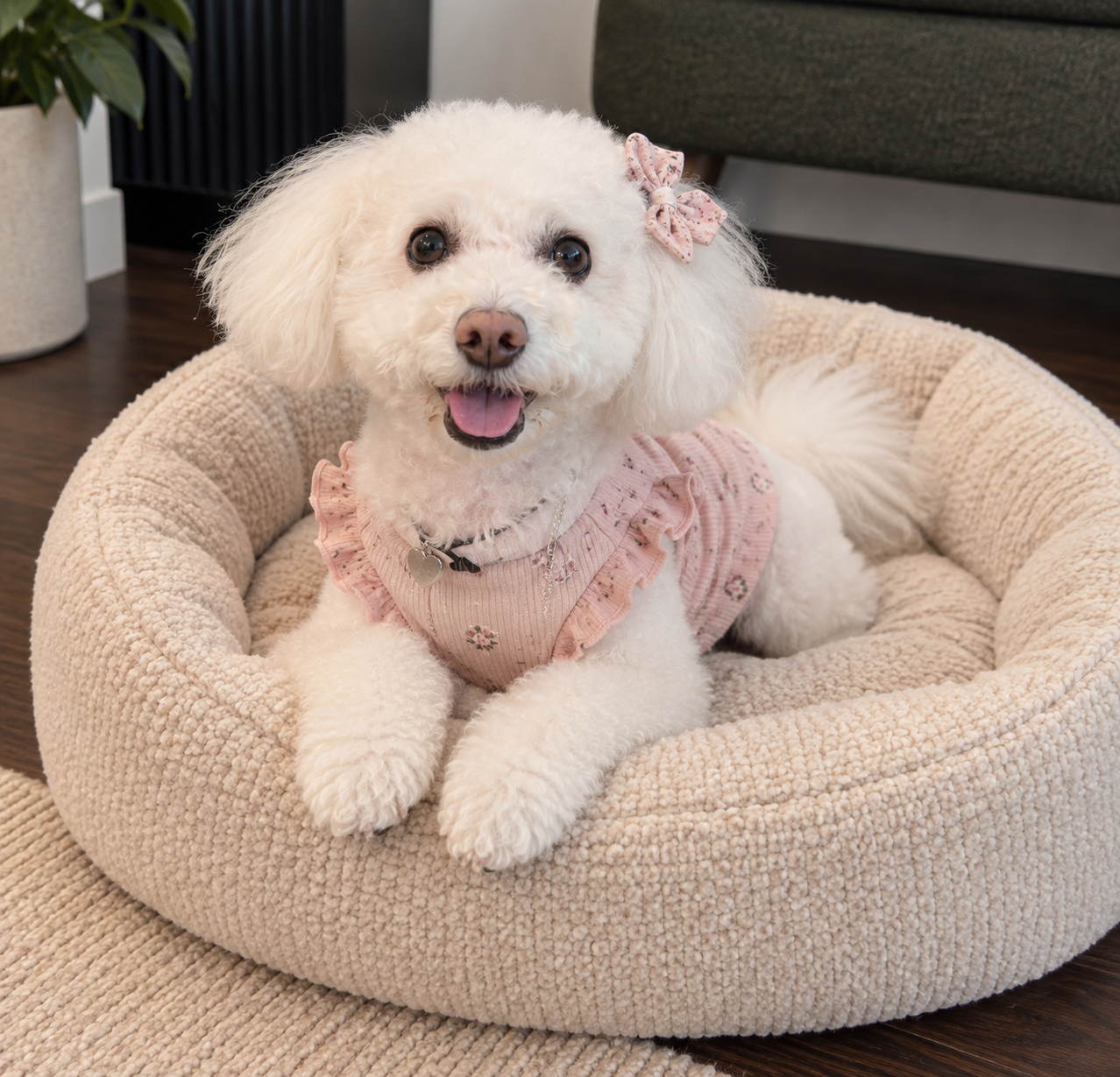 A happy white poodle wearing a pink dress and a pink bow, sitting in a beige pet bed inside a home.