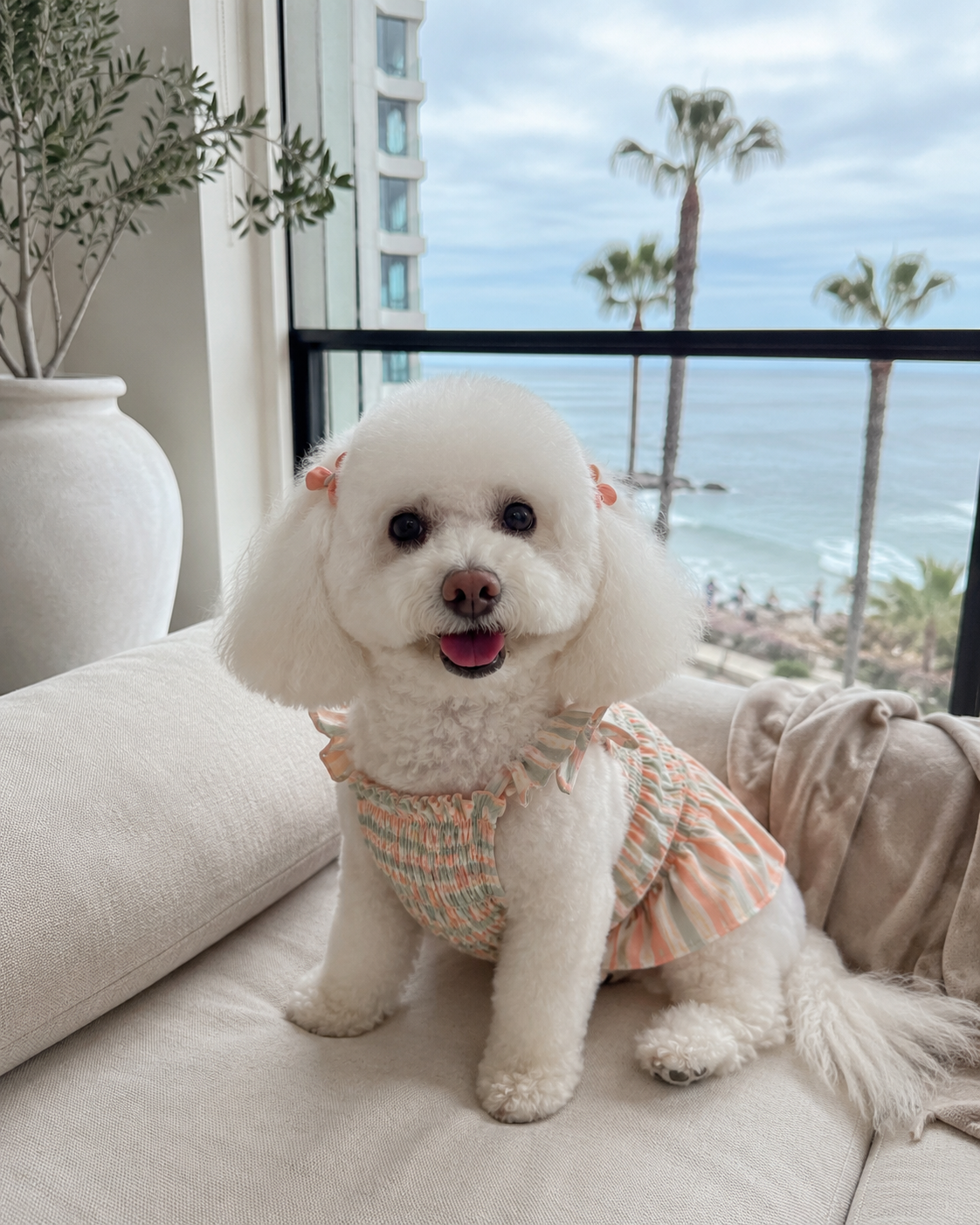 A white, fluffy dog sitting on a beige couch indoors near a window overlooking the ocean, mountains, and palm trees. The dog is wearing a colorful ruffled dress and looking at the camera with its tongue slightly out.