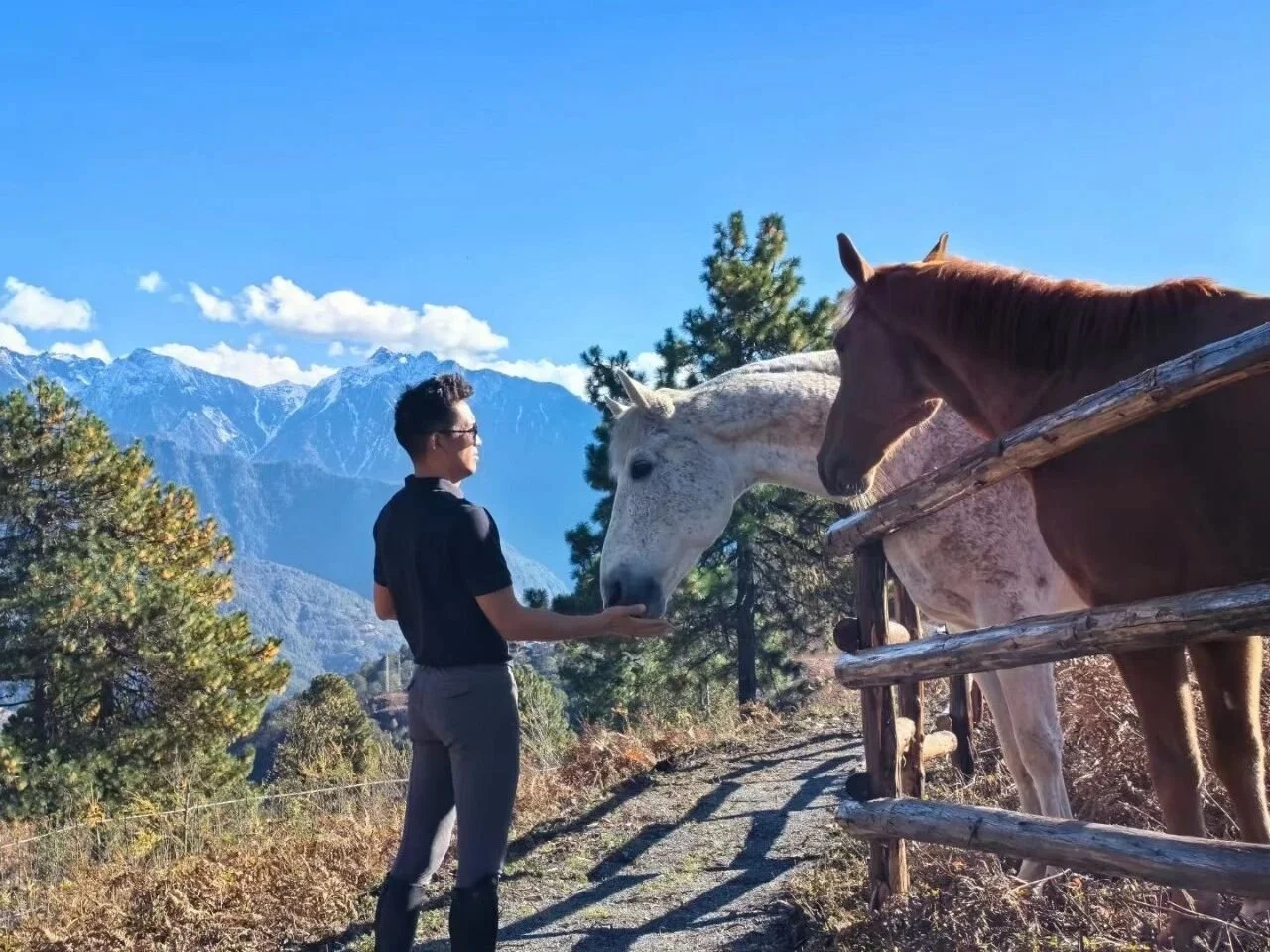 A man feeding two horses on a trail with mountain scenery in the background
