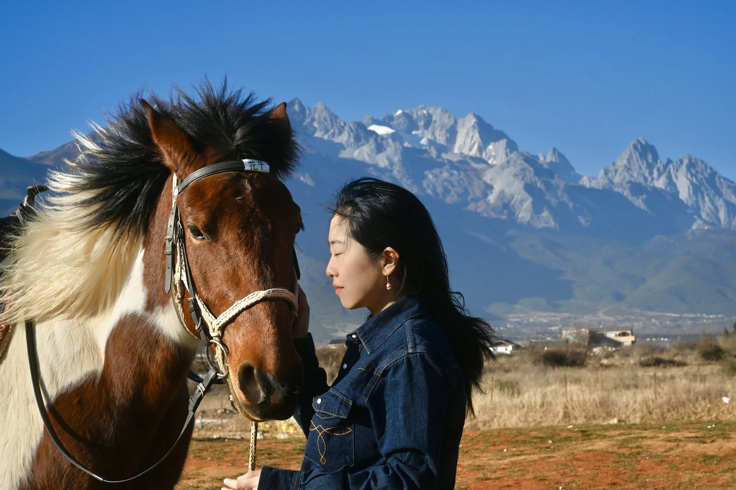 A woman with black hair and earrings touching her forehead with a brown and white horse with a black mane. Mountains in the background under a blue sky.