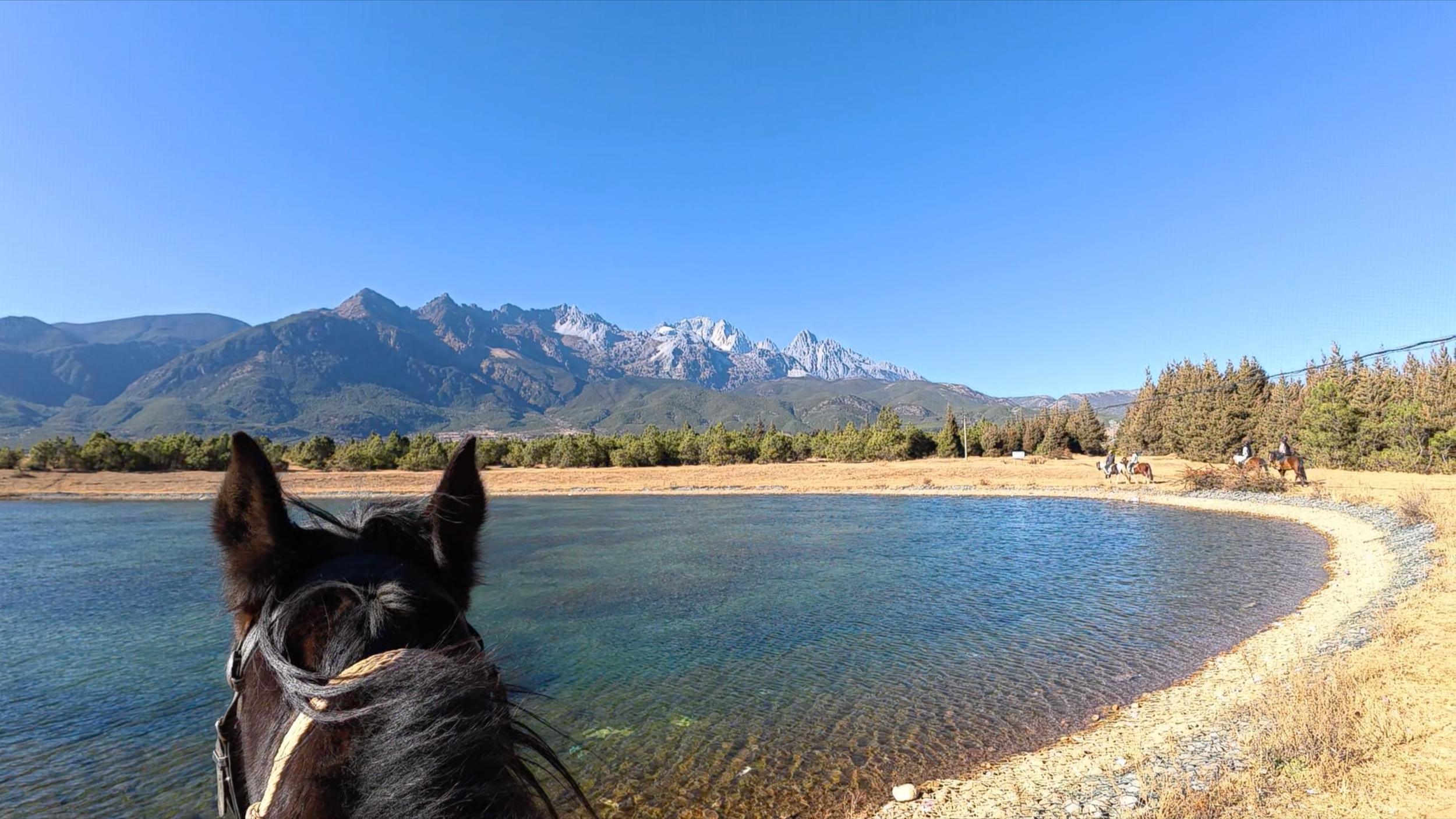 A dog with black and white fur looking at a river, with green trees, mountains in the background, and people riding horses along the shoreline under a clear blue sky.