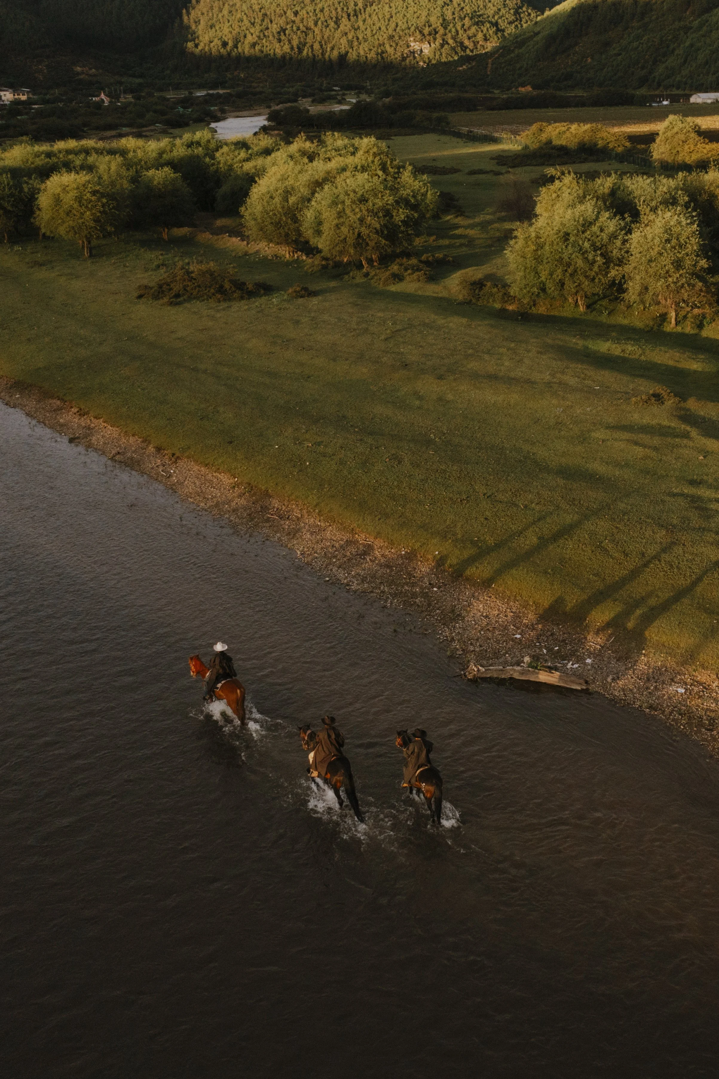 A group of horses being ridden along a river at sunset, with green trees and hills in the background.