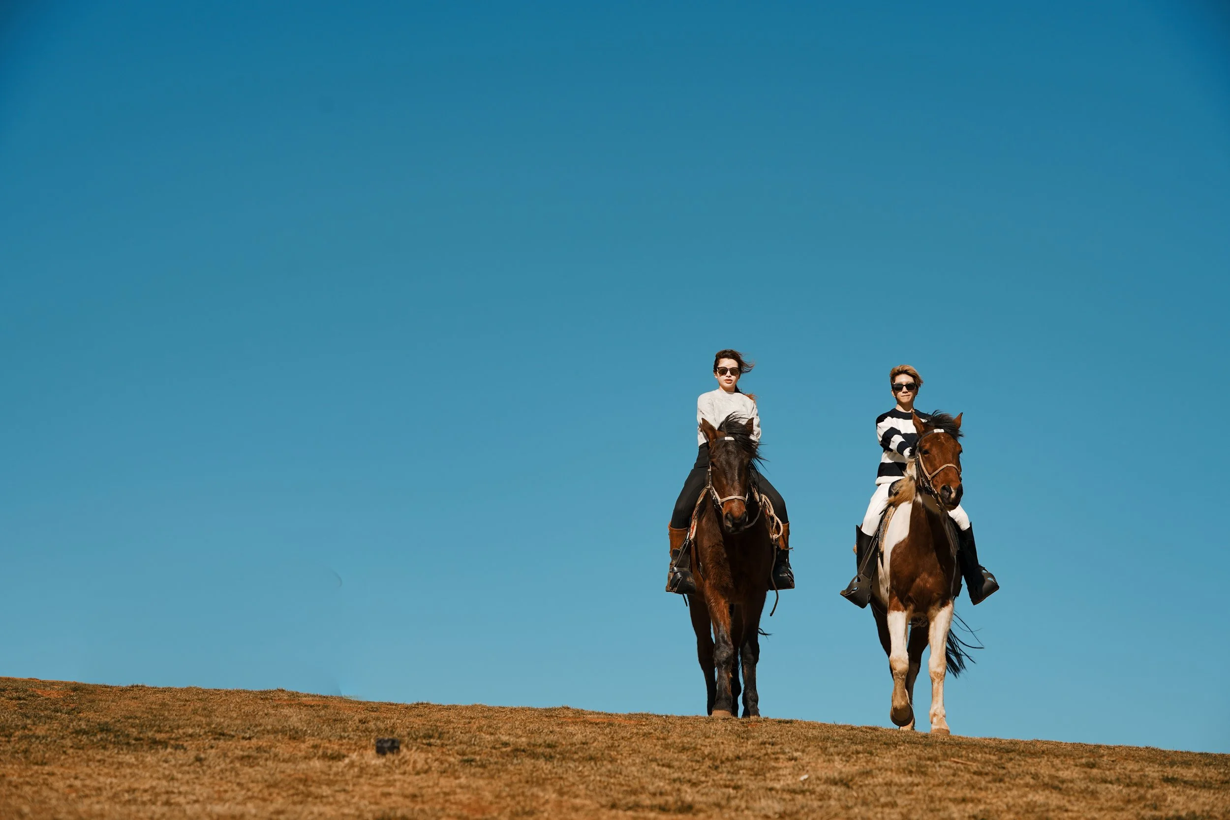 Two people riding horses on a grassy hill with a clear blue sky above.