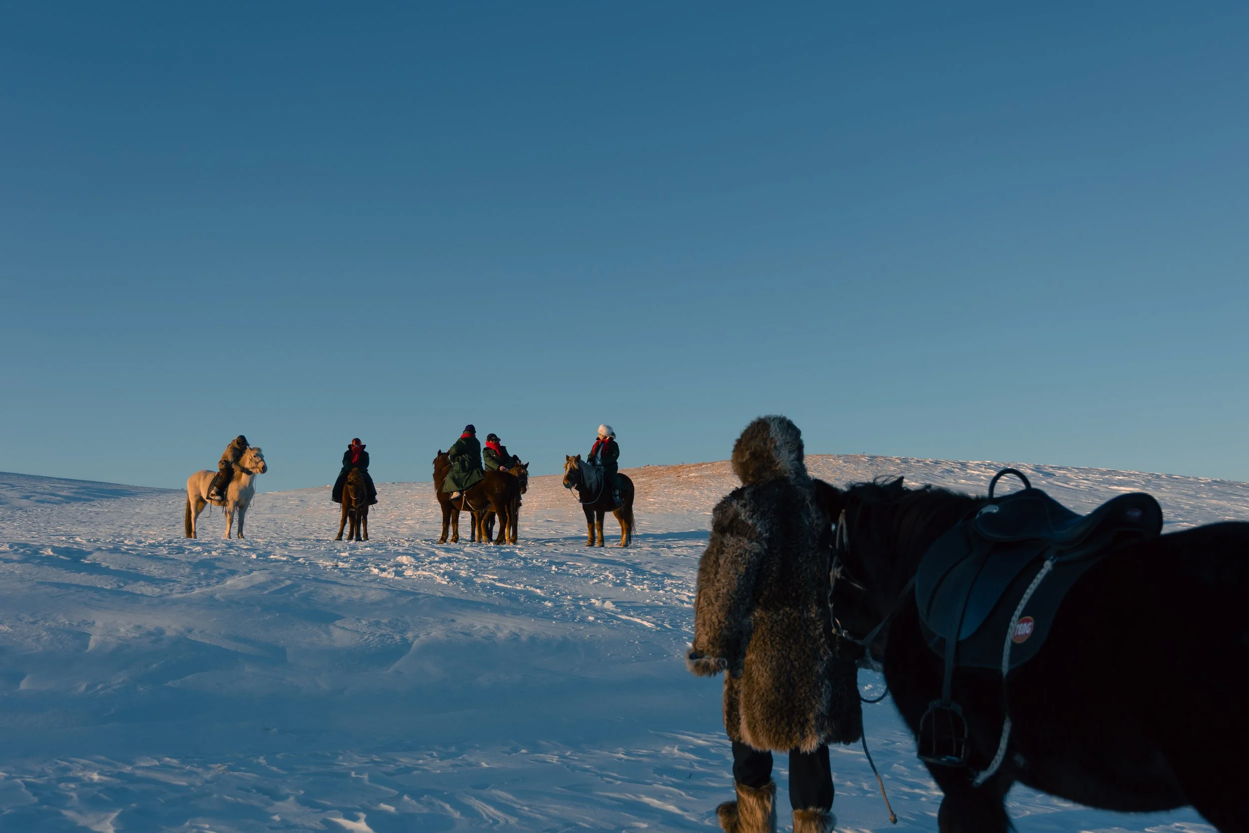 Group of people riding horses across a snow-covered landscape under a clear blue sky, with a dog in the foreground wearing winter gear.