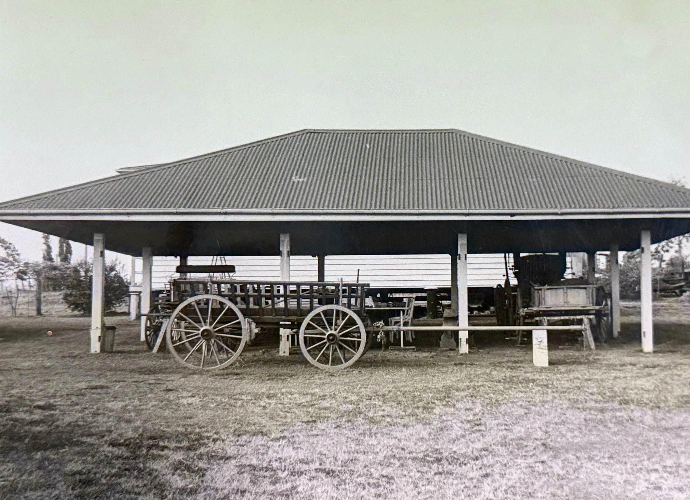 An old-fashioned horse-drawn wagon parked underneath a covered structure with a corrugated metal roof, with trees in the background.