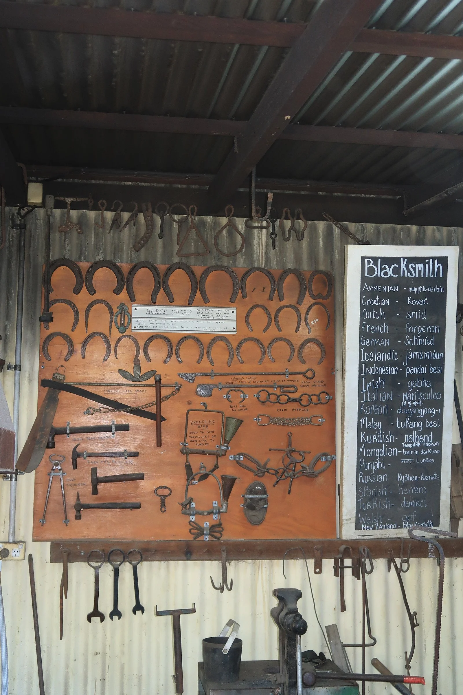 A display of horse shoes, tools, and blacksmithing equipment on a wall with a black chalkboard listing words in various languages and their English equivalents. The equipment includes horseshoes, tongs, and anvils.