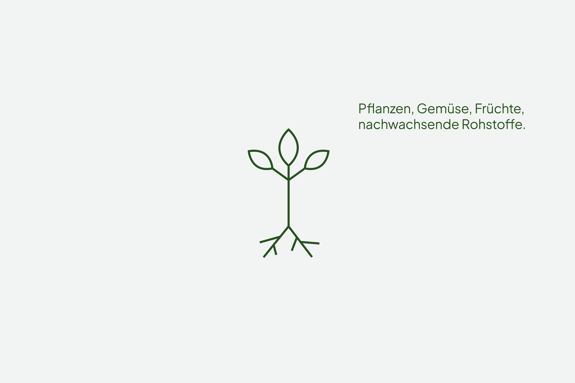 Zeichnung eines Pflanzenkeims mit Wurzeln, Spross und Blättern, daneben deutscher Text: 'Pflanzen, Gemüse, Früchte, nachwachsende Rohstoffe'.
