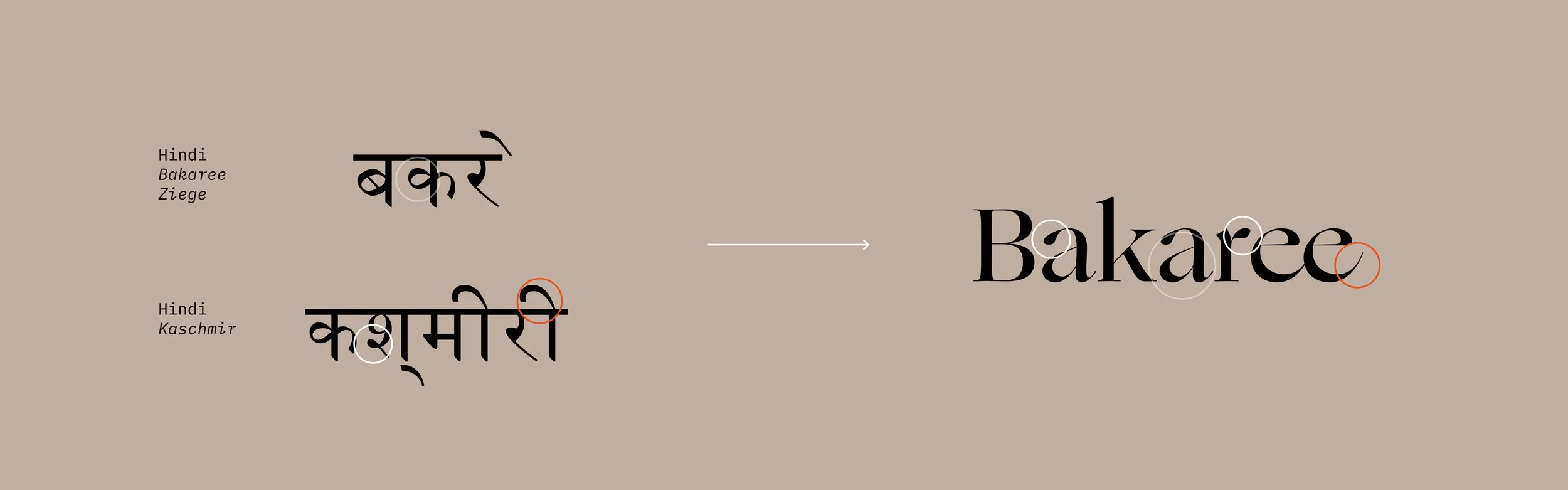 Grafik zeigt die Übersetzung des Wortes 'Bakaree' in Hindi für die Begriffe 'Ziege' und 'Kaschmir', mit einem Vergleich der Schriftarten und Annotationen für die Sprachstudie.