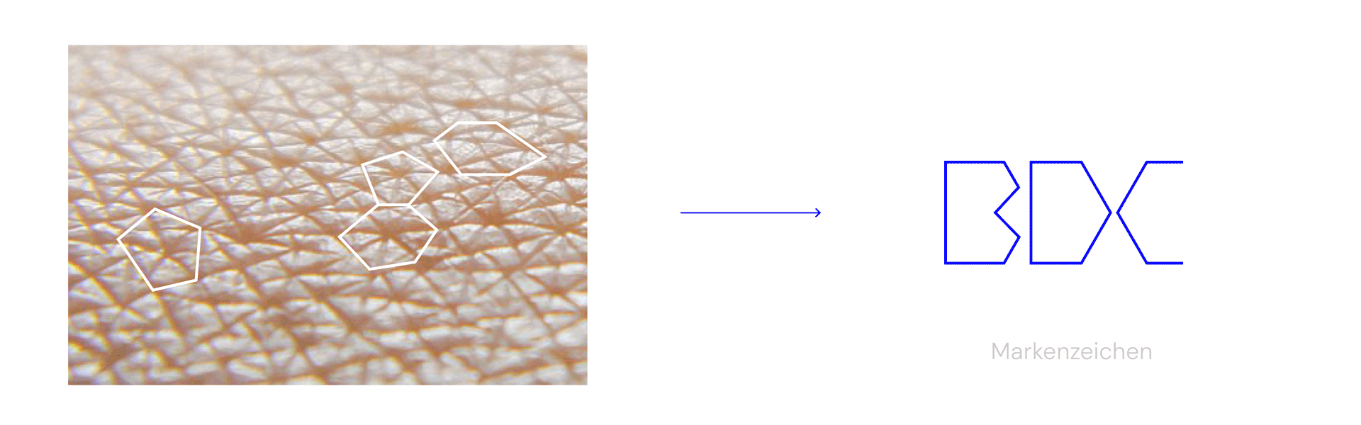 Makrofoto von menschlicher Haut mit weißen Umrissen von chemischen Strukturen und einer blauen geometrischen Markierung, die zu einem Markenzeichen führt.