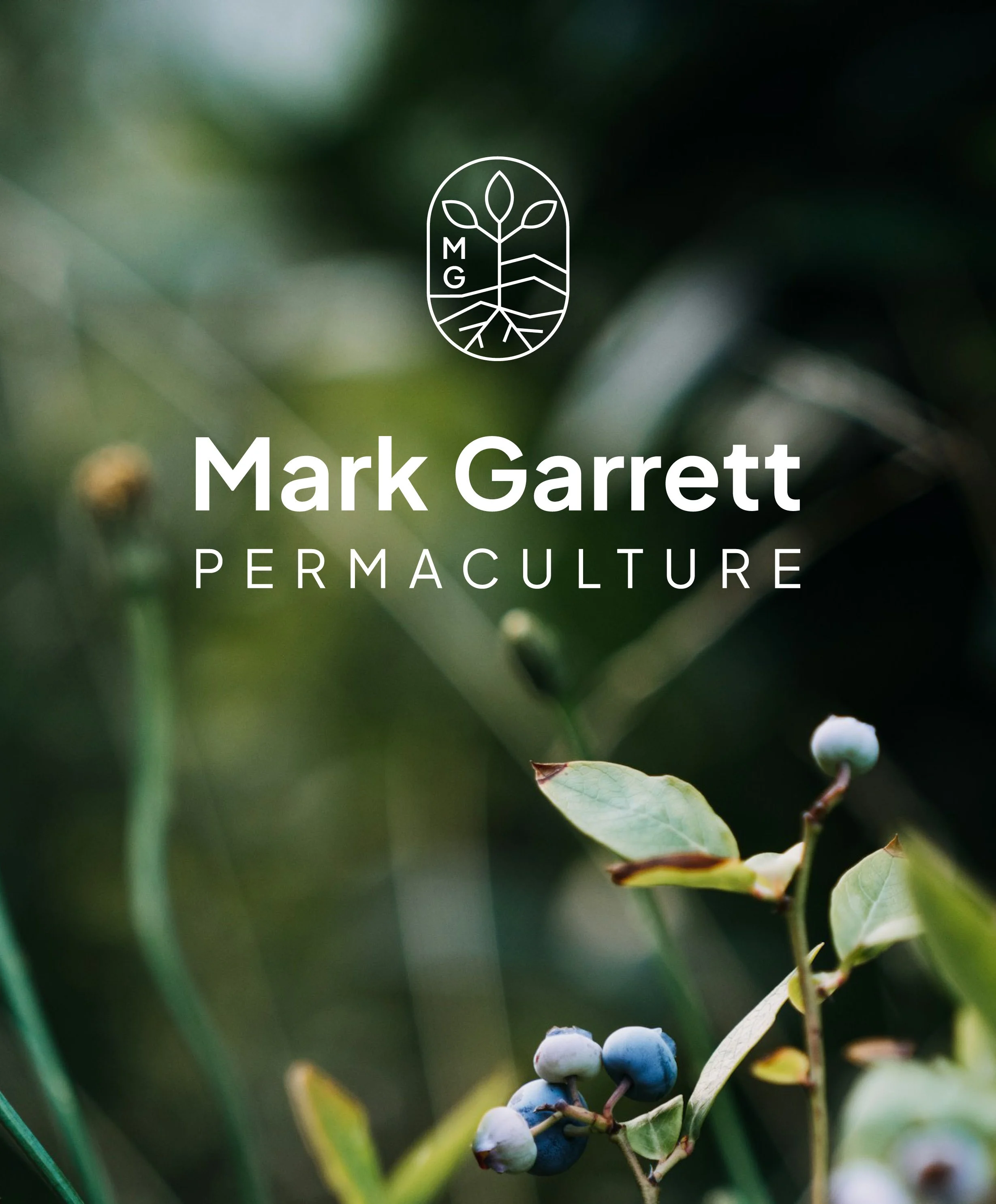 Nahaufnahme blauer Beeren an einem Strauch, im Hintergrund grüne Blätter, mit weißem Logo und Text 'Mark Garrett Permaculture'
