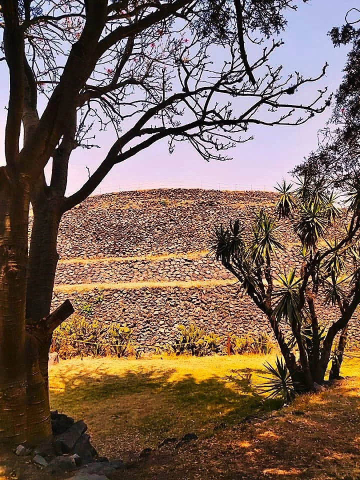 A hillside with terraced stone walls surrounding dry grass and trees, under a clear sky